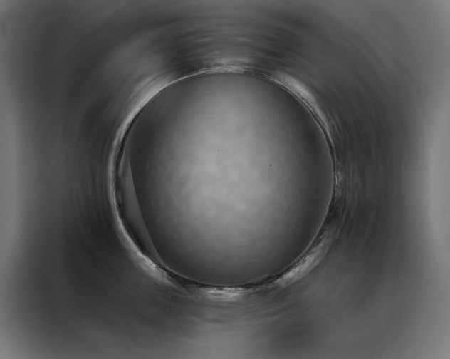 X0000088490859200705221425