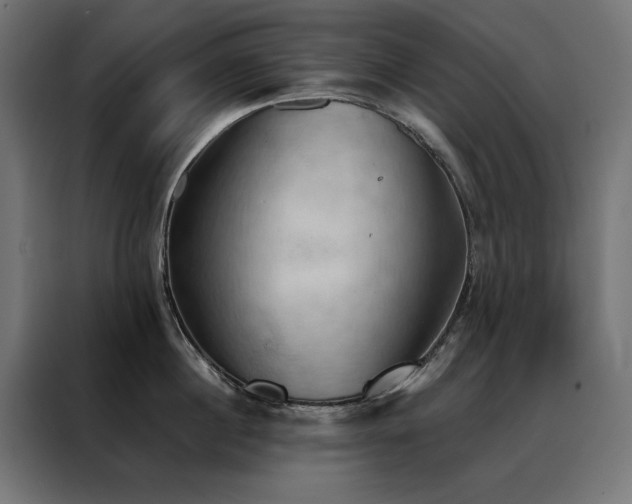 X0000088490860200705221425