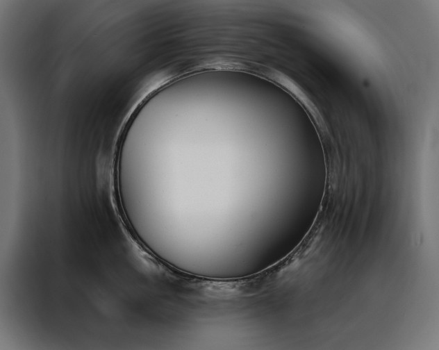 X0000088490861200705221425
