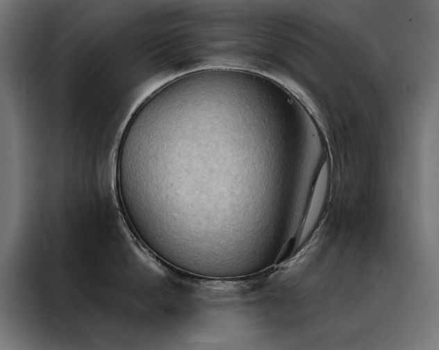 X0000088490862200705221425