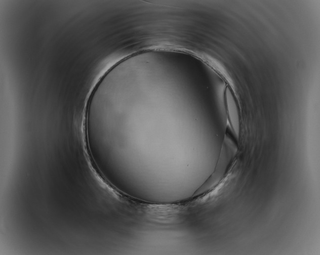 X0000088490863200705221425