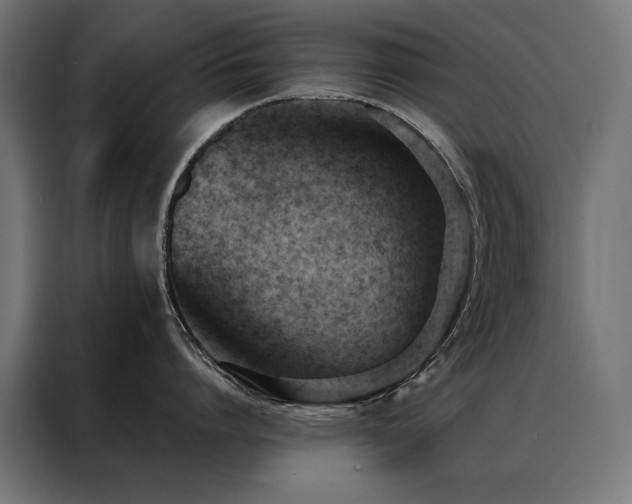 X0000088490864200705221425
