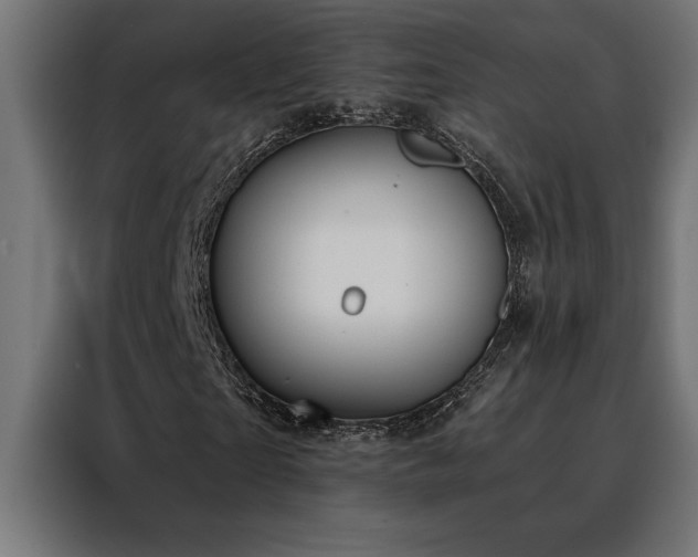 X0000088490865200705221425