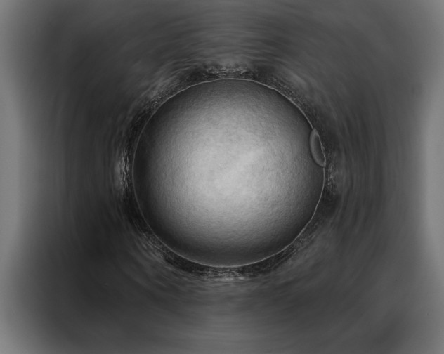 X0000088490866200705221425