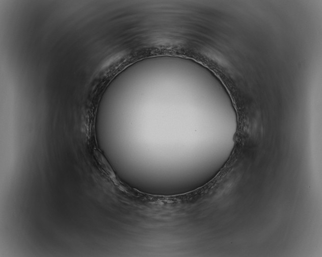 X0000088490869200705221425