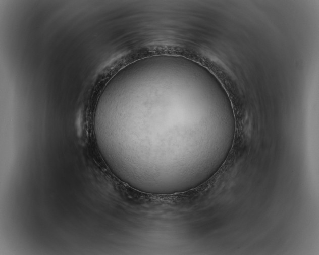 X0000088490870200705221425