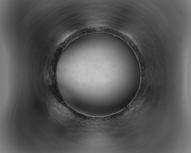 X0000088490871200705221425