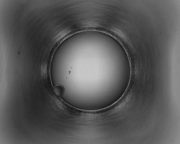 X0000088490873200705221425