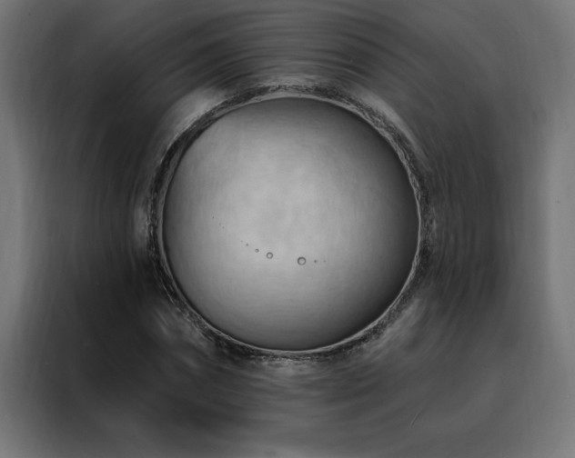 X0000088490874200705221425
