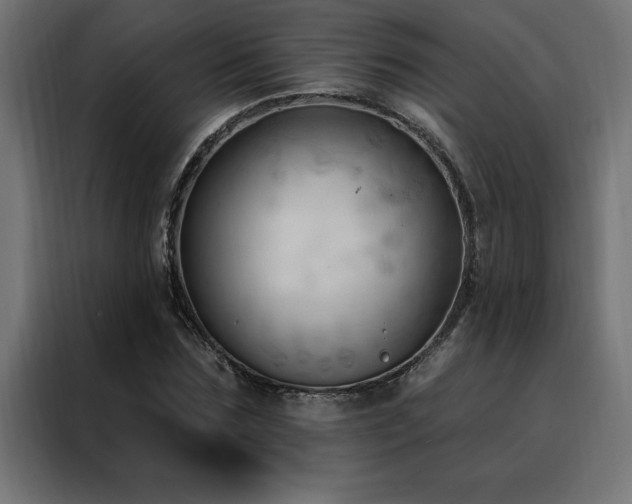 X0000088490875200705221425