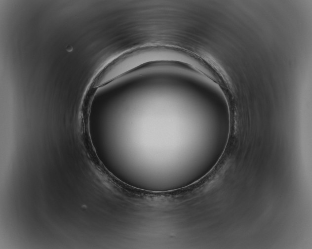 X0000088490876200705221425