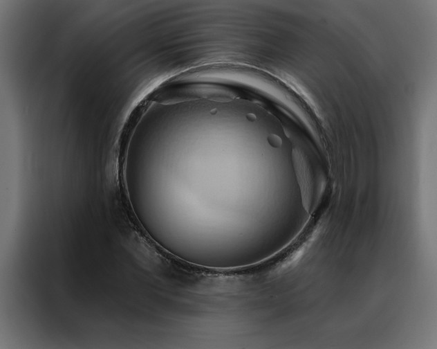 X0000088490877200705221425
