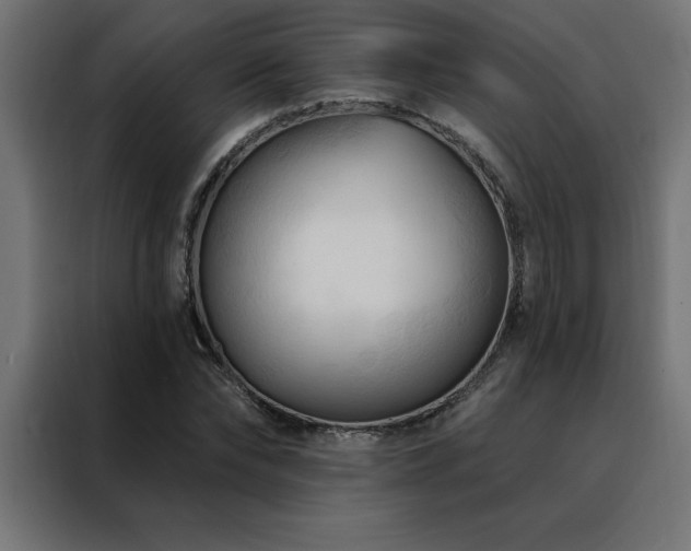 X0000088490878200705221425