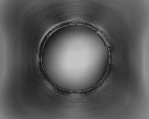 X0000088490880200705221425