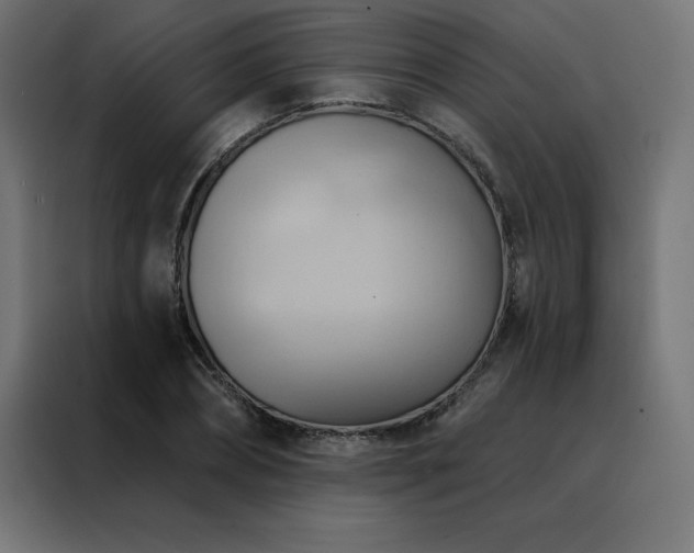 X0000088490882200705221425