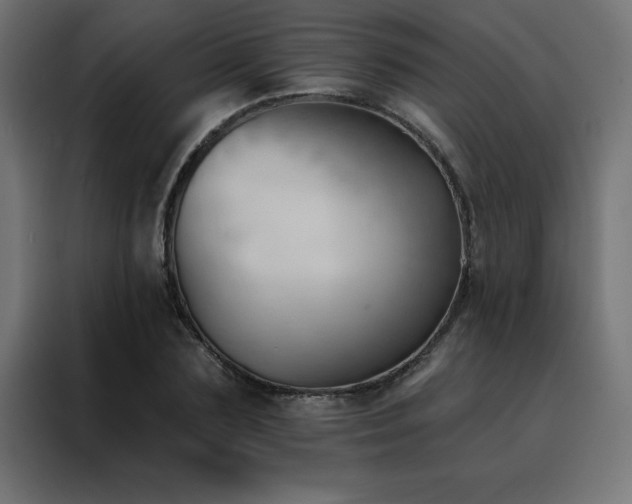 X0000088490883200705221425