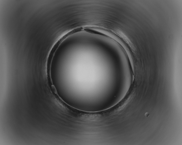X0000088490884200705221425