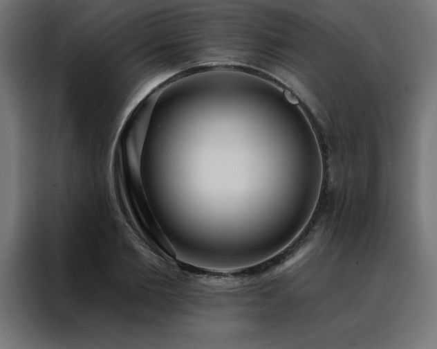 X0000088490885200705221425