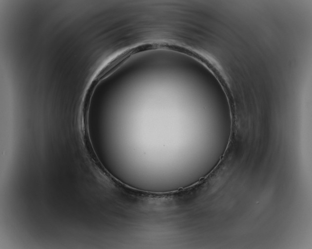 X0000088490887200705221425