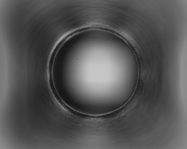 X0000088490888200705221425