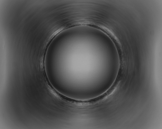 X0000088490889200705221425