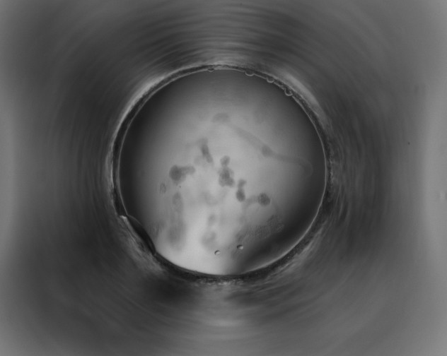 X0000088490891200705221424