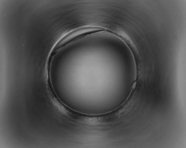 X0000088490892200705221424