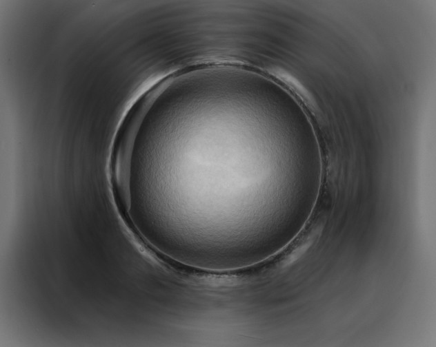 X0000088490893200705221424