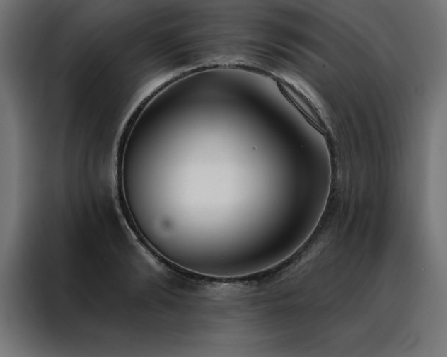 X0000088490894200705221424