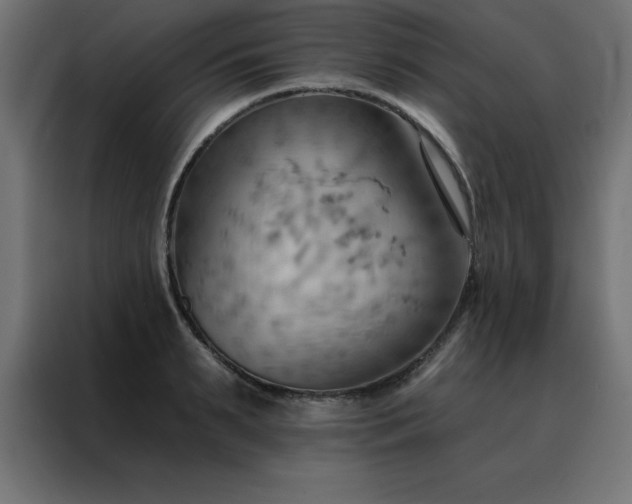 X0000088490895200705221424