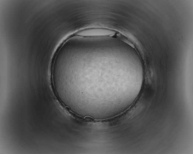 X0000088490896200705221424