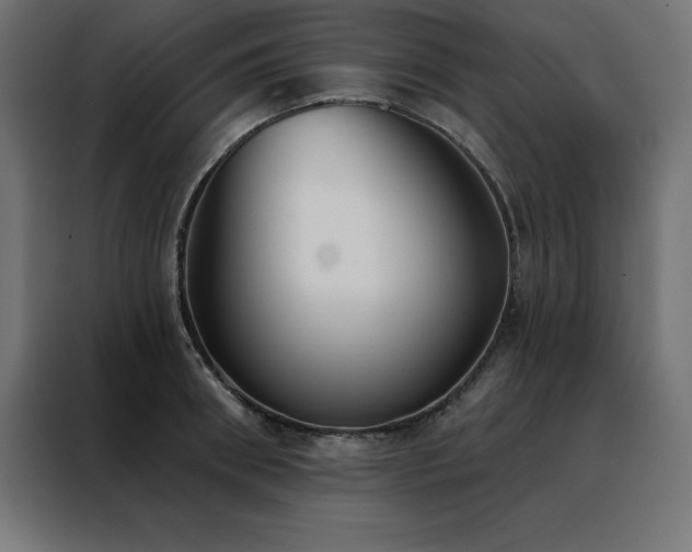 X0000088490898200705221424