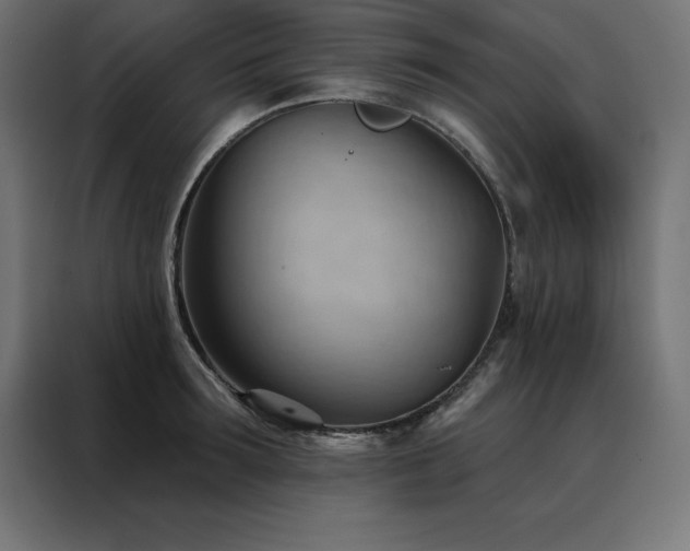 X0000088490899200705221424