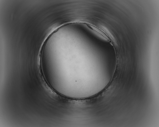 X0000088490900200705221424