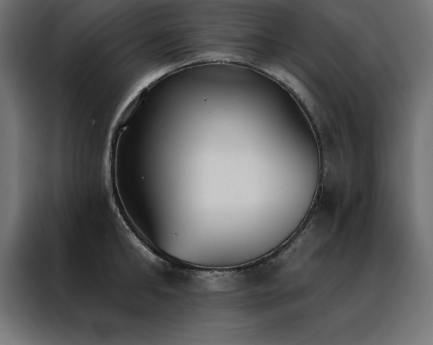 X0000088490902200705221424