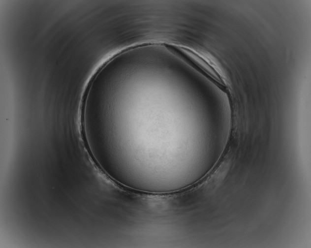 X0000088490904200705221424