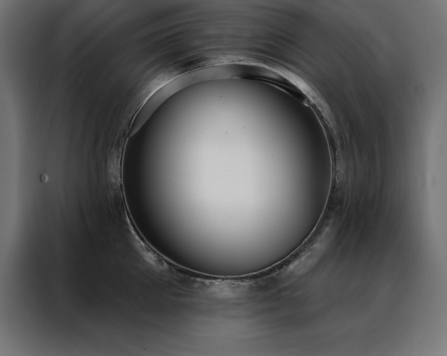 X0000088490905200705221424