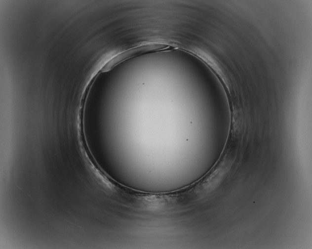 X0000088490906200705221424