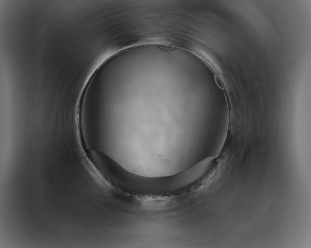 X0000088490907200705221424