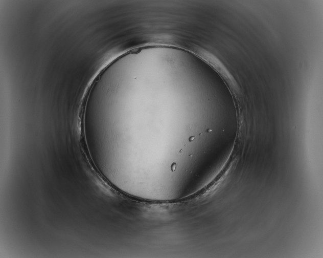 X0000088490908200705221424
