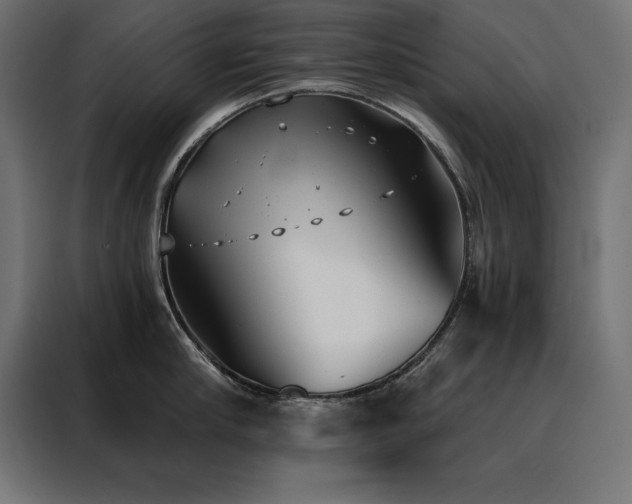 X0000088490910200705221424