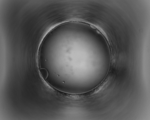 X0000088490911200705221424
