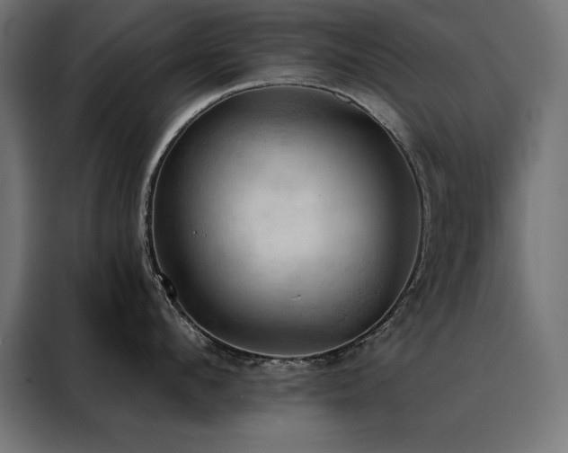 X0000088490912200705221424