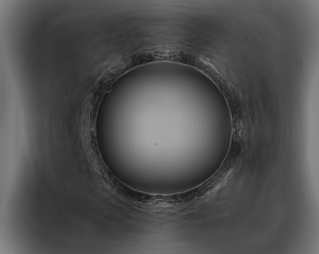 X0000088490913200705221424
