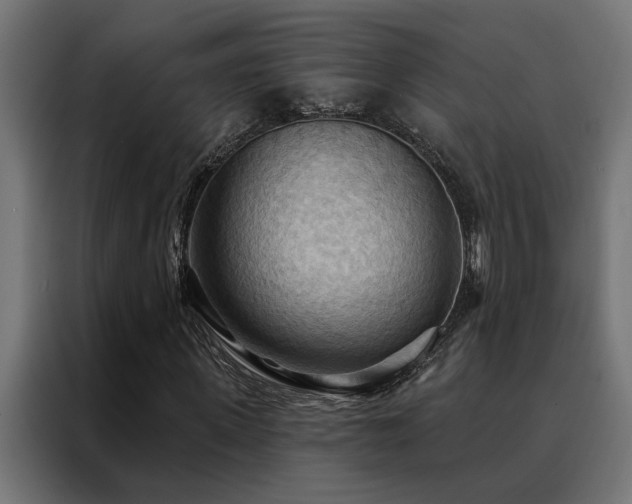 X0000088490915200705221424