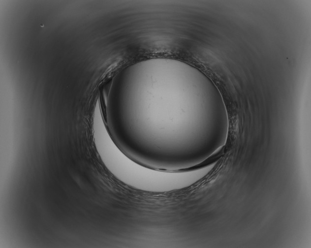 X0000088490916200705221424