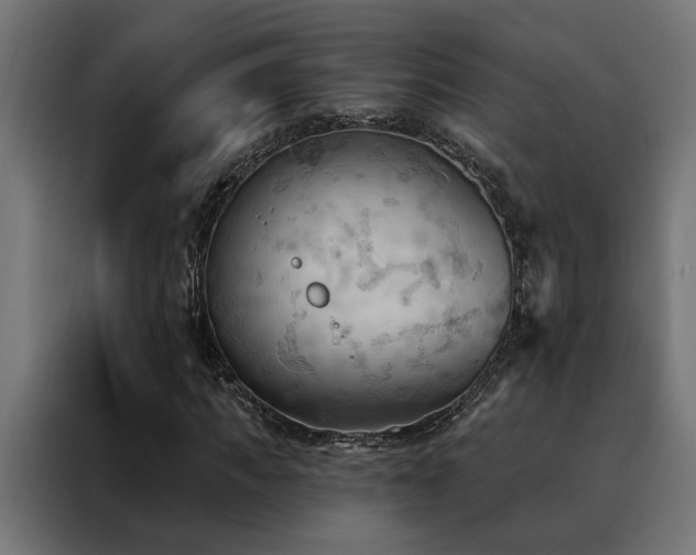 X0000088490917200705221424