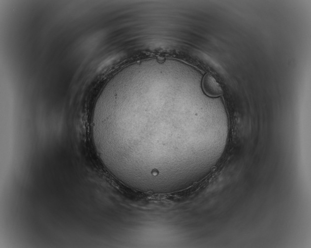 X0000088490918200705221424