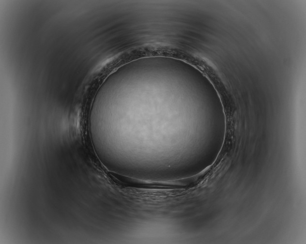 X0000088490919200705221424