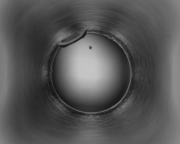 X0000088490922200705221424